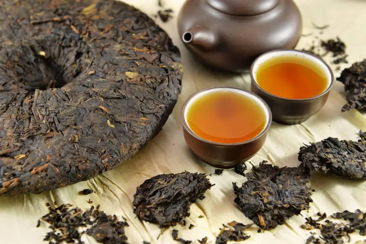 is pu erh a black tea