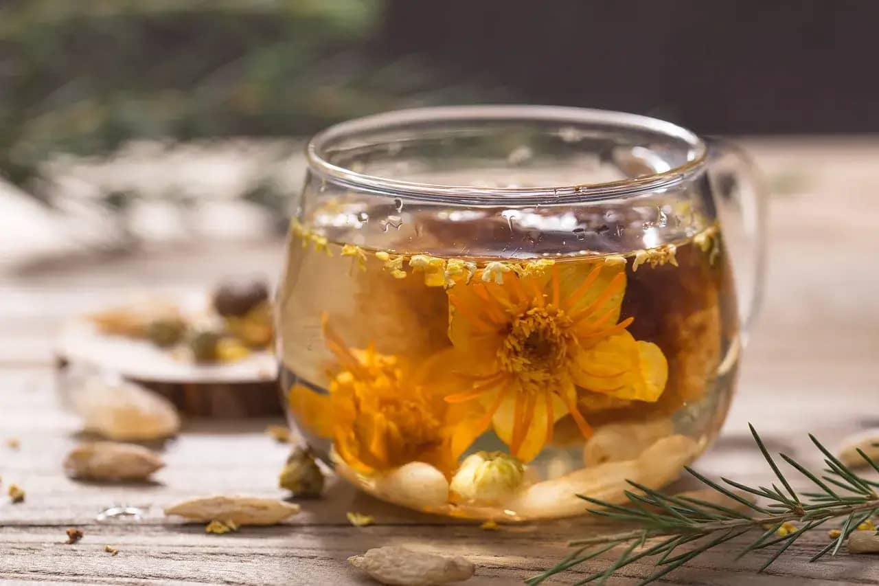 does dandelion tea have caffeine