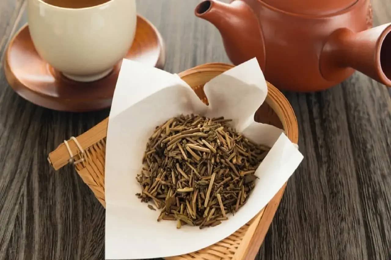 hojicha in japan