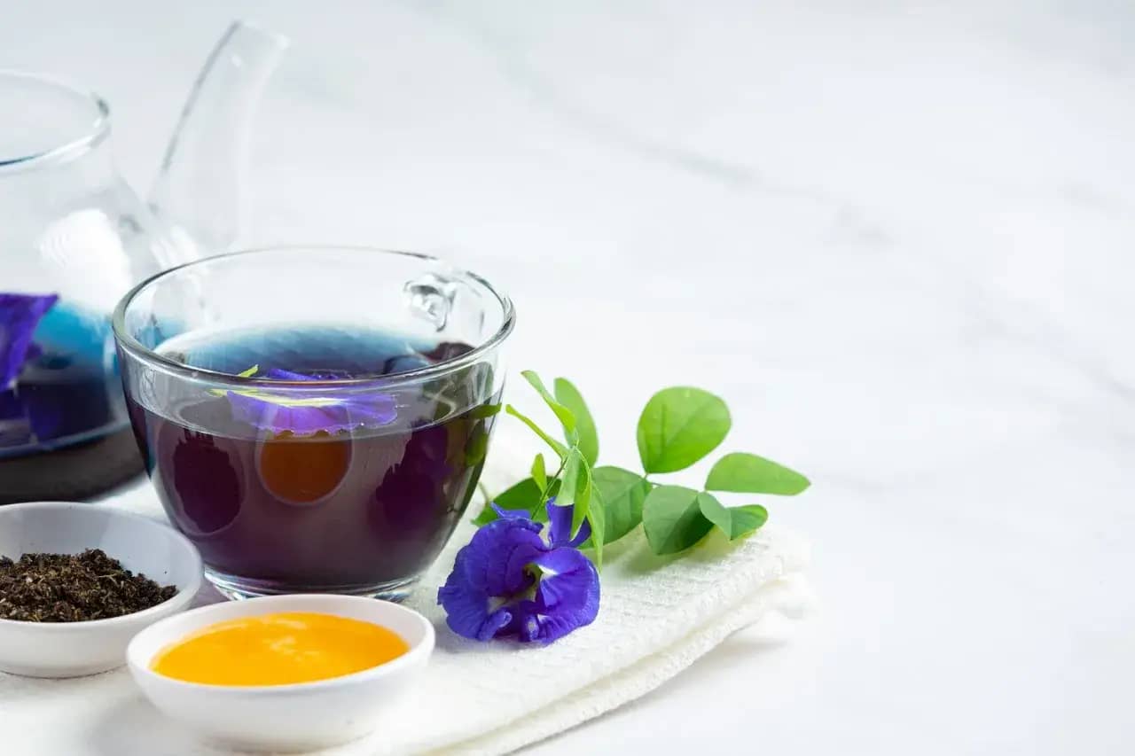 how to make butterfly pea flower tea