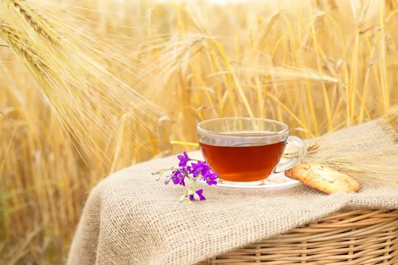 is barley tea good for you